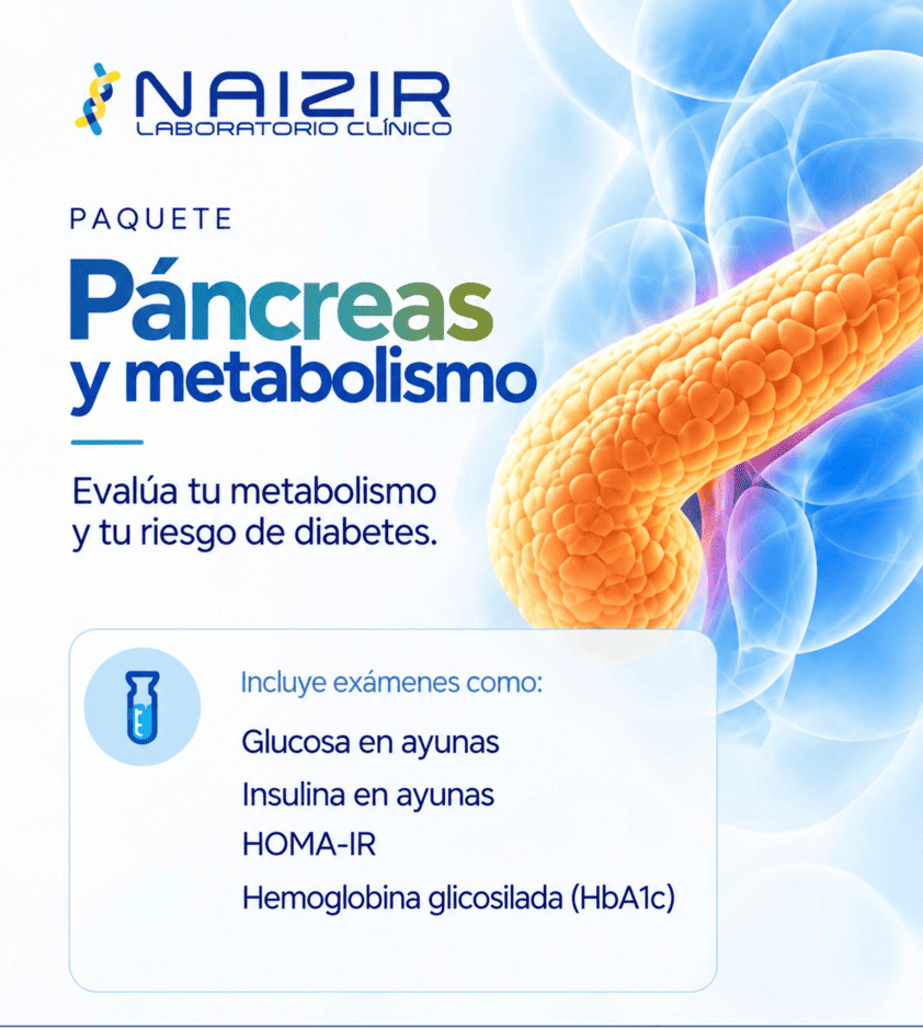 Paquete de páncreas y metabolismo
