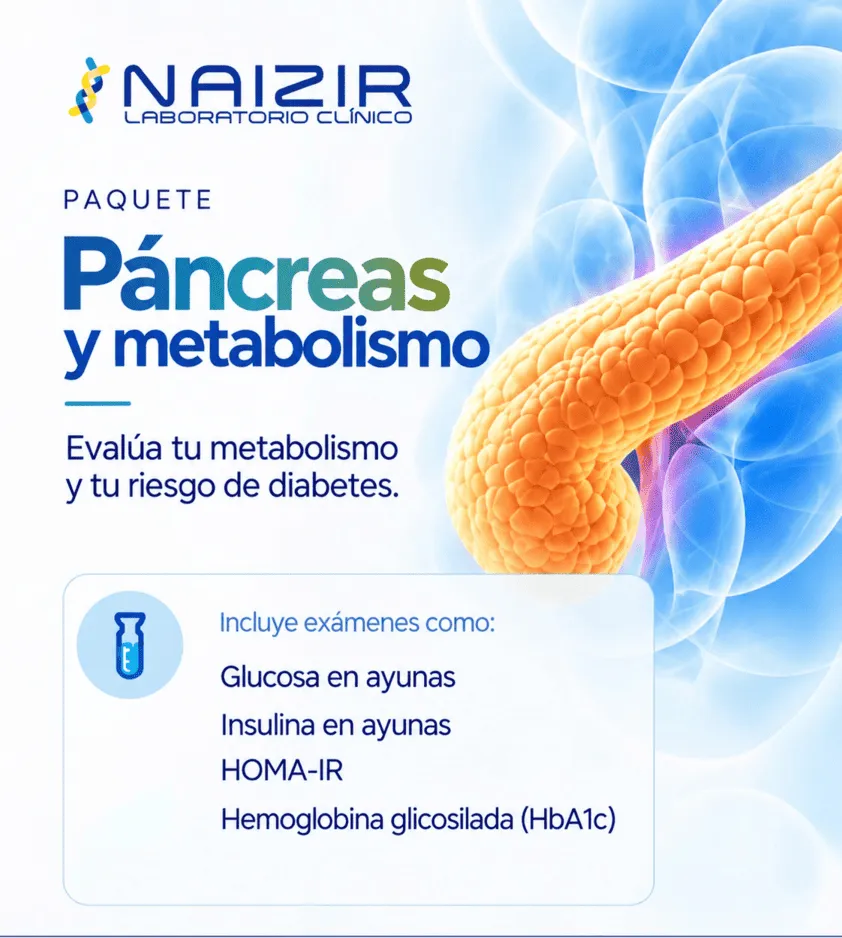 Paquete de páncreas y metabolismo