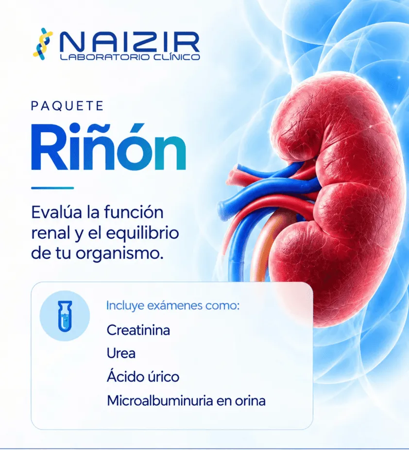 Paquete de riñón
